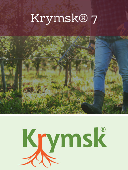Krymsk 7 Rootstock brought to you by Varieties International